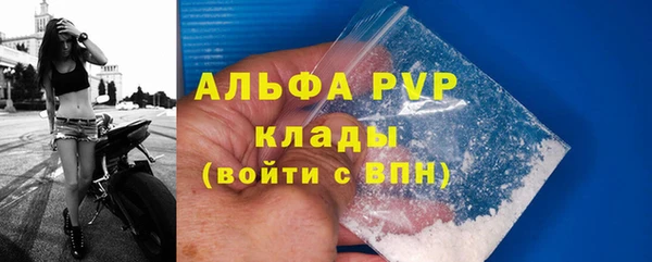 дживик Бронницы
