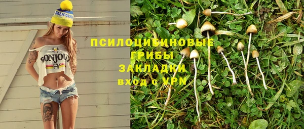 apvp Бородино