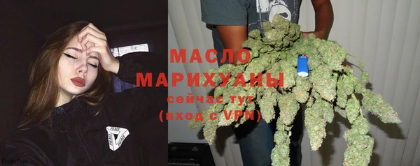 apvp Бородино