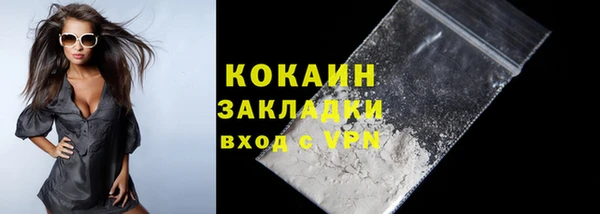 дживик Бронницы