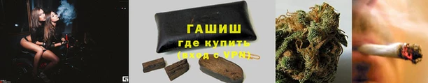 apvp Бородино