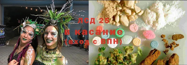 apvp Бородино