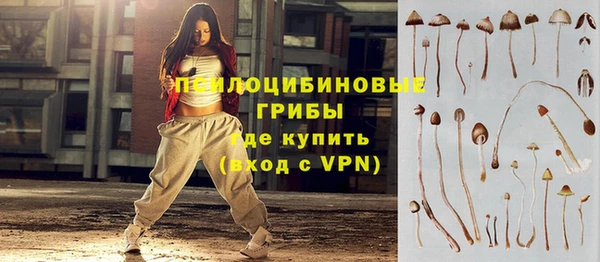 apvp Бородино