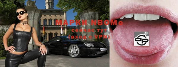 apvp Бородино