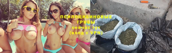 apvp Бородино