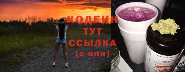 дживик Бронницы