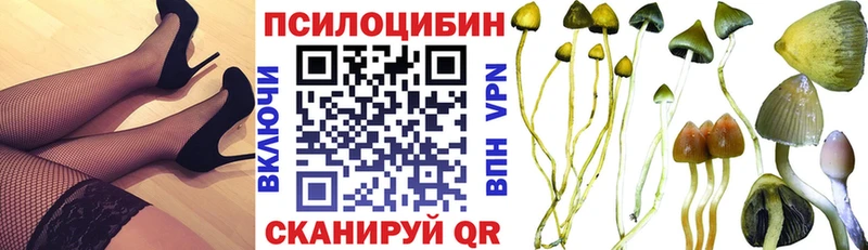 нарко площадка телеграм  Севастополь  Псилоцибиновые грибы GOLDEN TEACHER 